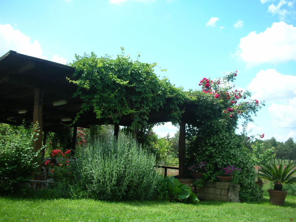 Podere Le Chiuse Sovana Esterno foto